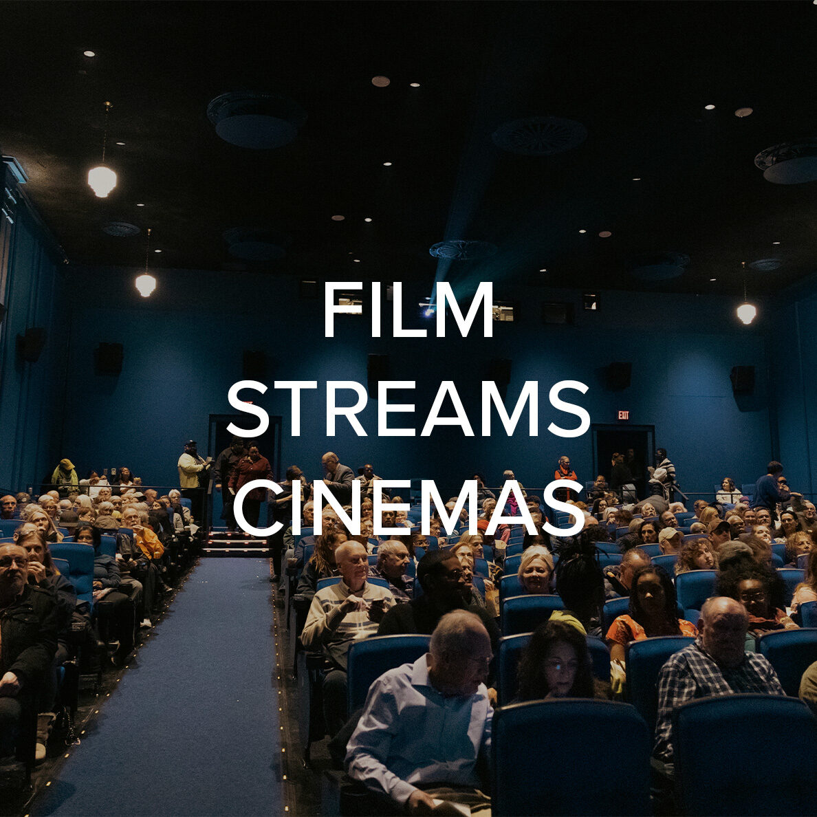 As Film Streams Cinemas' Production Specialist,<br>I create trailers for upcoming series and retrospectives, as well as film and edit live events.