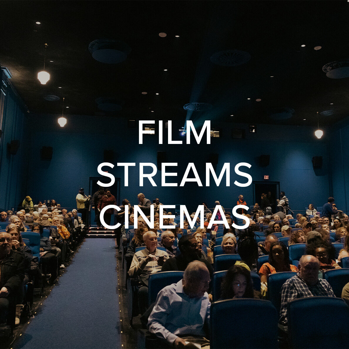 As Film Streams Cinemas' Production Specialist,<br>I create trailers for upcoming series and retrospectives, as well as film <br>and edit live events.